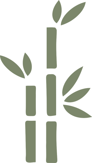 Bamboo